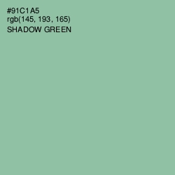 #91C1A5 - Shadow Green Color Image